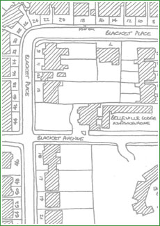 Blacket Area Plan