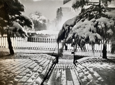 Railings in the snow